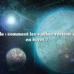 Réponse rapide : comment les vaches restent-elles au chaud en hiver ?